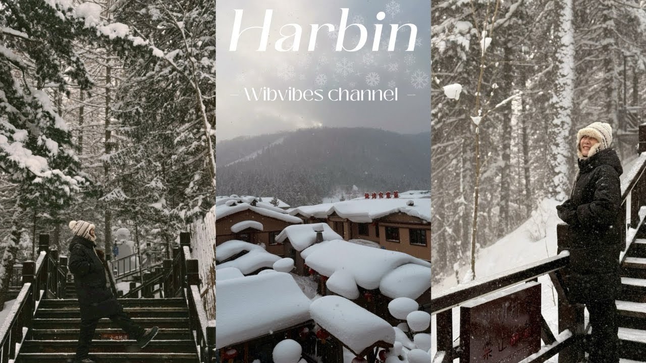 เที่ยวHarbin กับ หมู่บ้านหิมะ Snowtown ช่วงมกราคม 2026  อากาศหนาวมากถึง -25 องศา