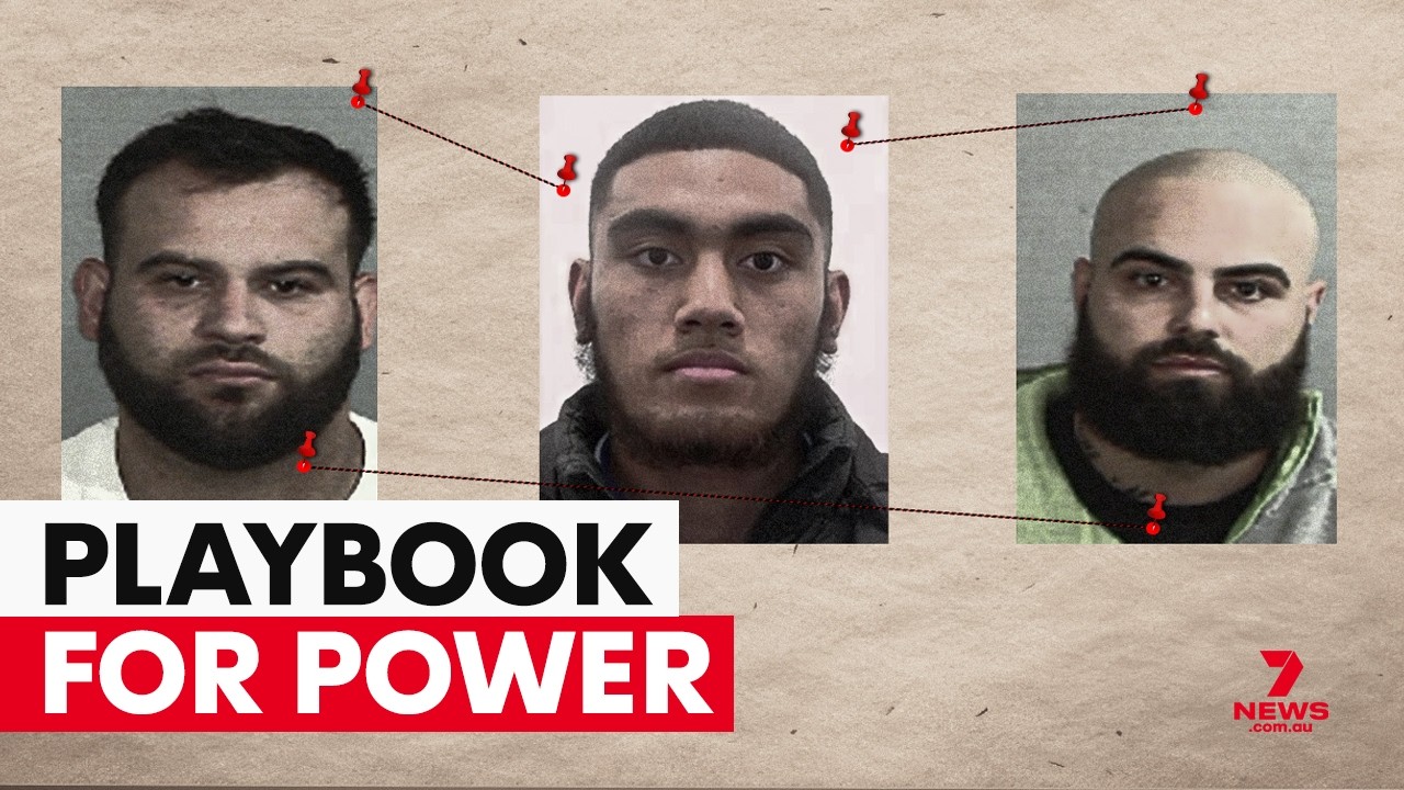 How Sydney's gang wars are changing: The chilling truth behind crime in our neighbourhoods | 7NEWS