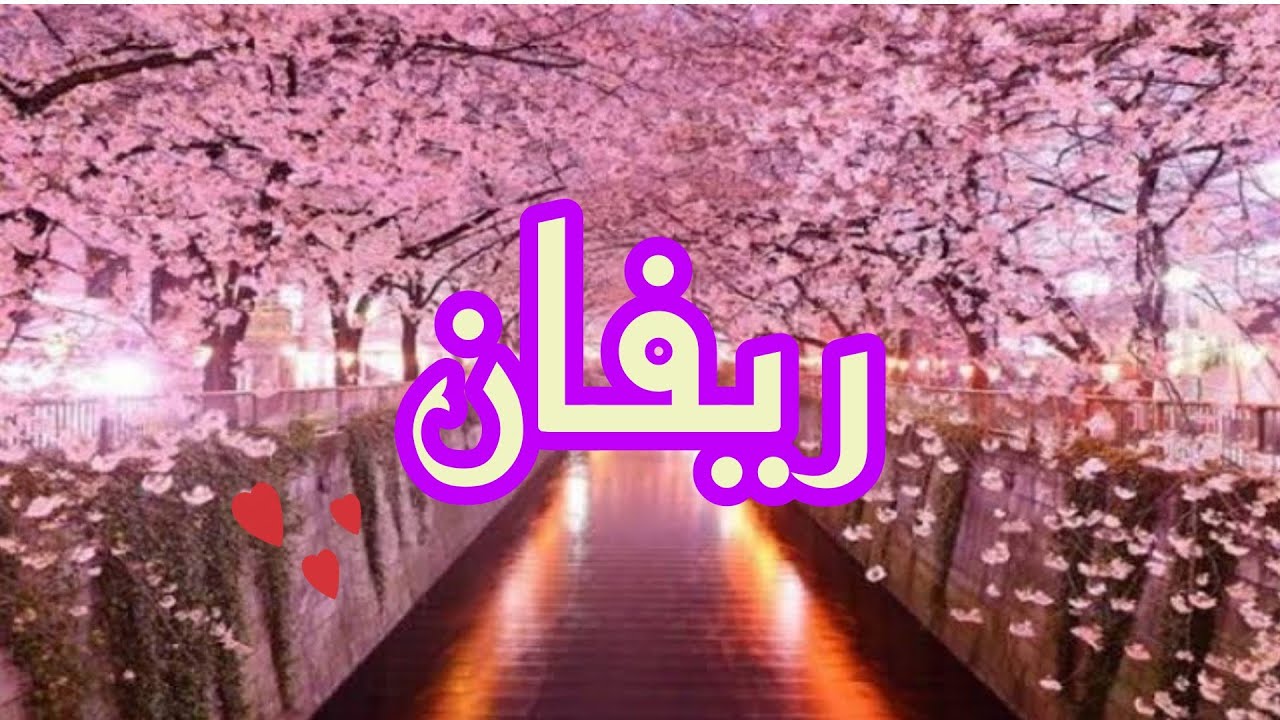 معني اسم ريفان وصفات صاحبة هذا الاسم #Revan