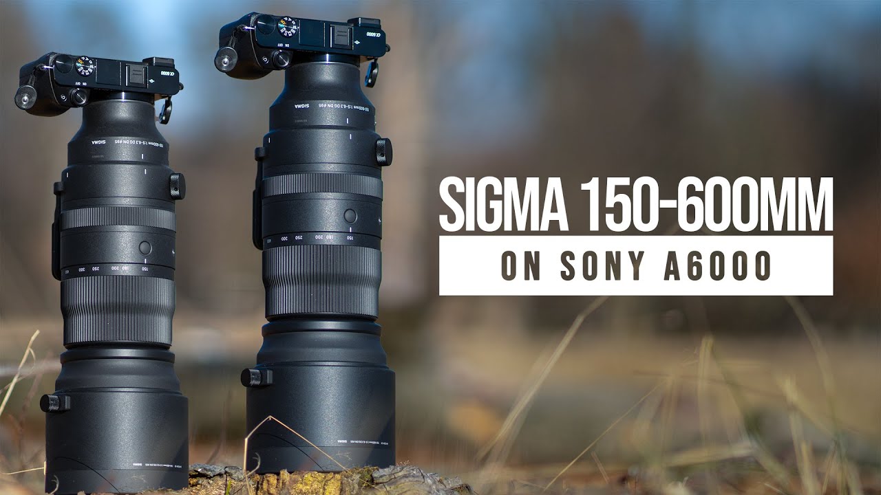 SIGMA 150-600mm на SONY A6000 (обзор объектива на APSC)