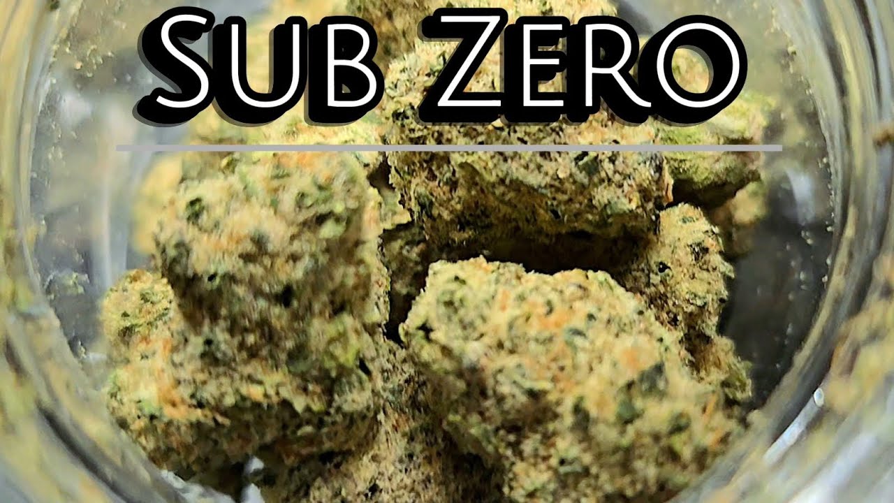 Gold Spectrum THC | Sub Zero Exotic Review | THCA Nation