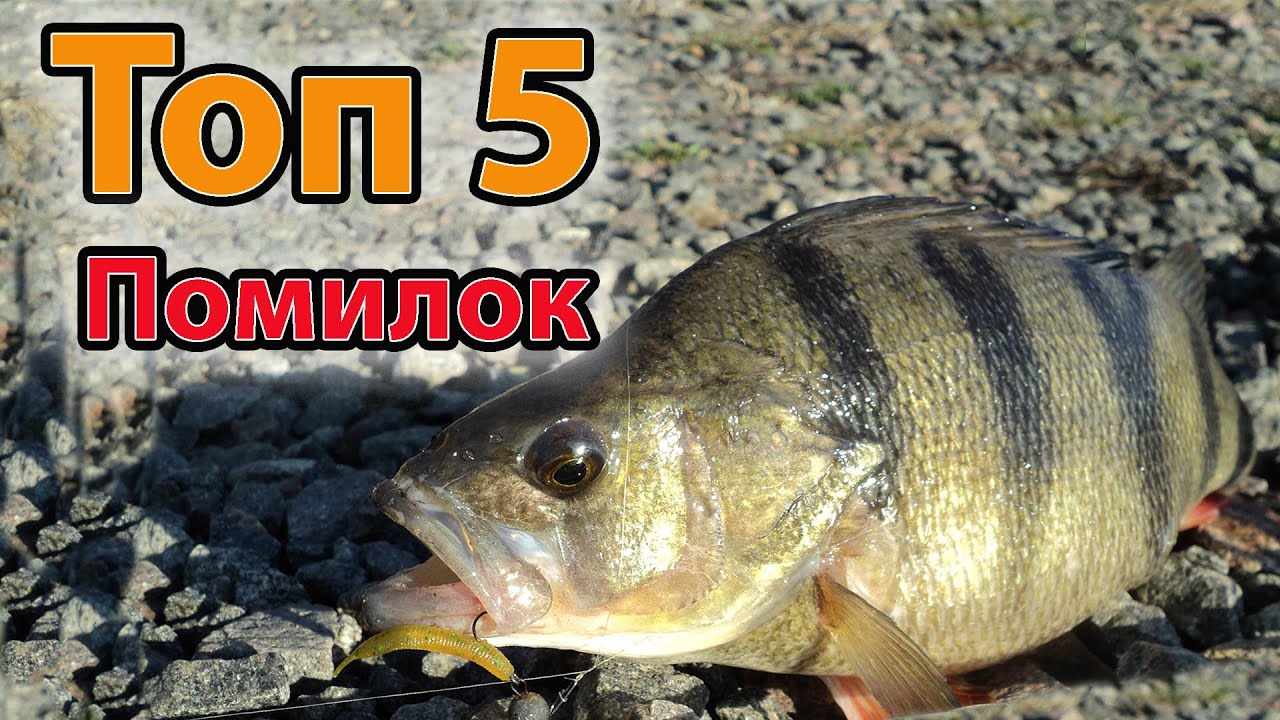 Топ 5 ПОМИЛОК ПРИ ЛОВЛІ ОКУНЯ НА СПІНІНГ
