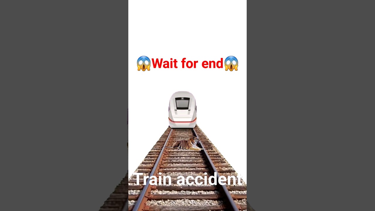 tiger train accident #shorts #youtubeshorts #shortvideo