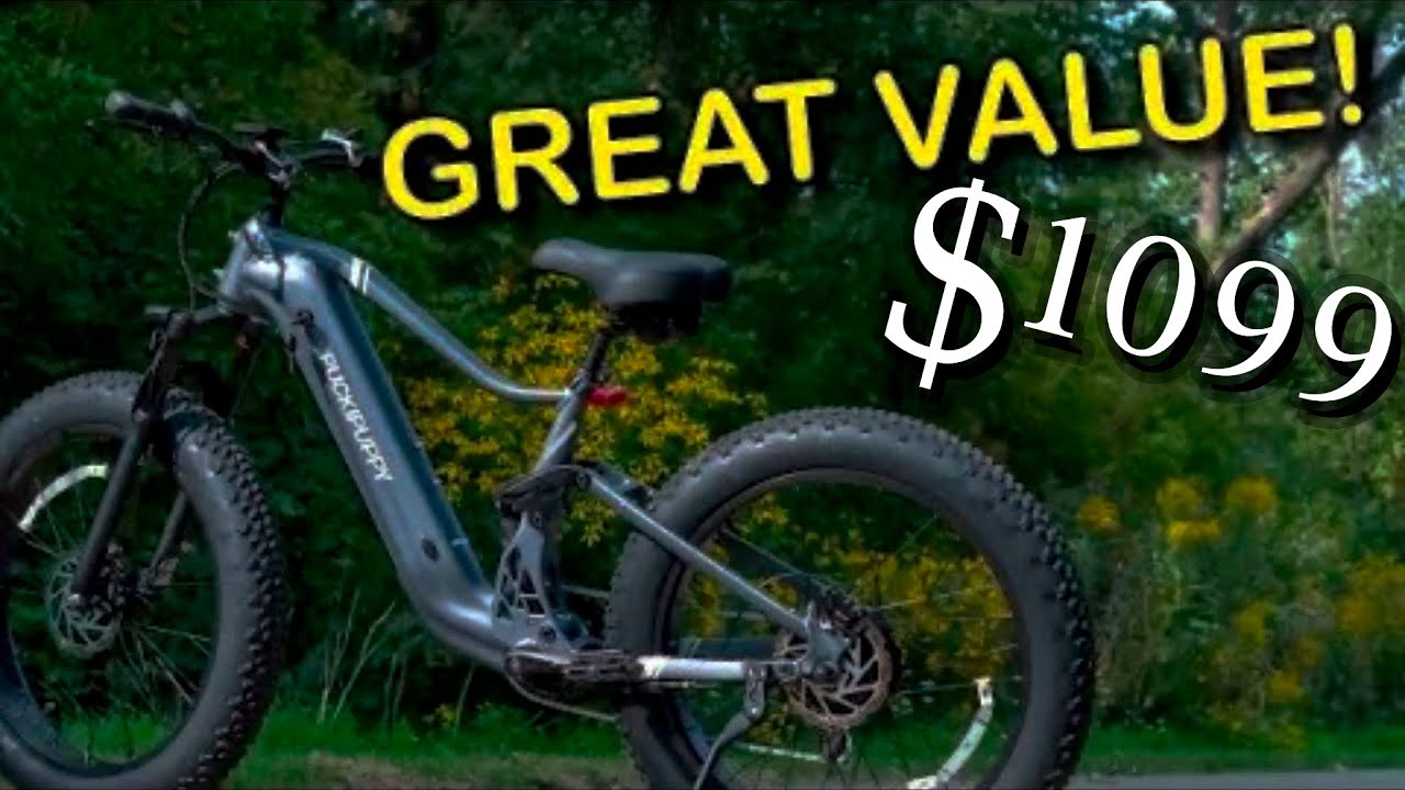 This AFFORDABLE EBike Has EVERYTHING! Puckipuppy Boxer In Depth Review 2024