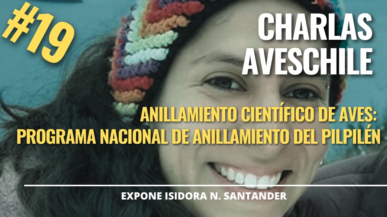 Charla AvesChile Anillamiento cient&iacute;fico de aves: Programa Nacional de Anillamiento del Pilpil&eacute;n