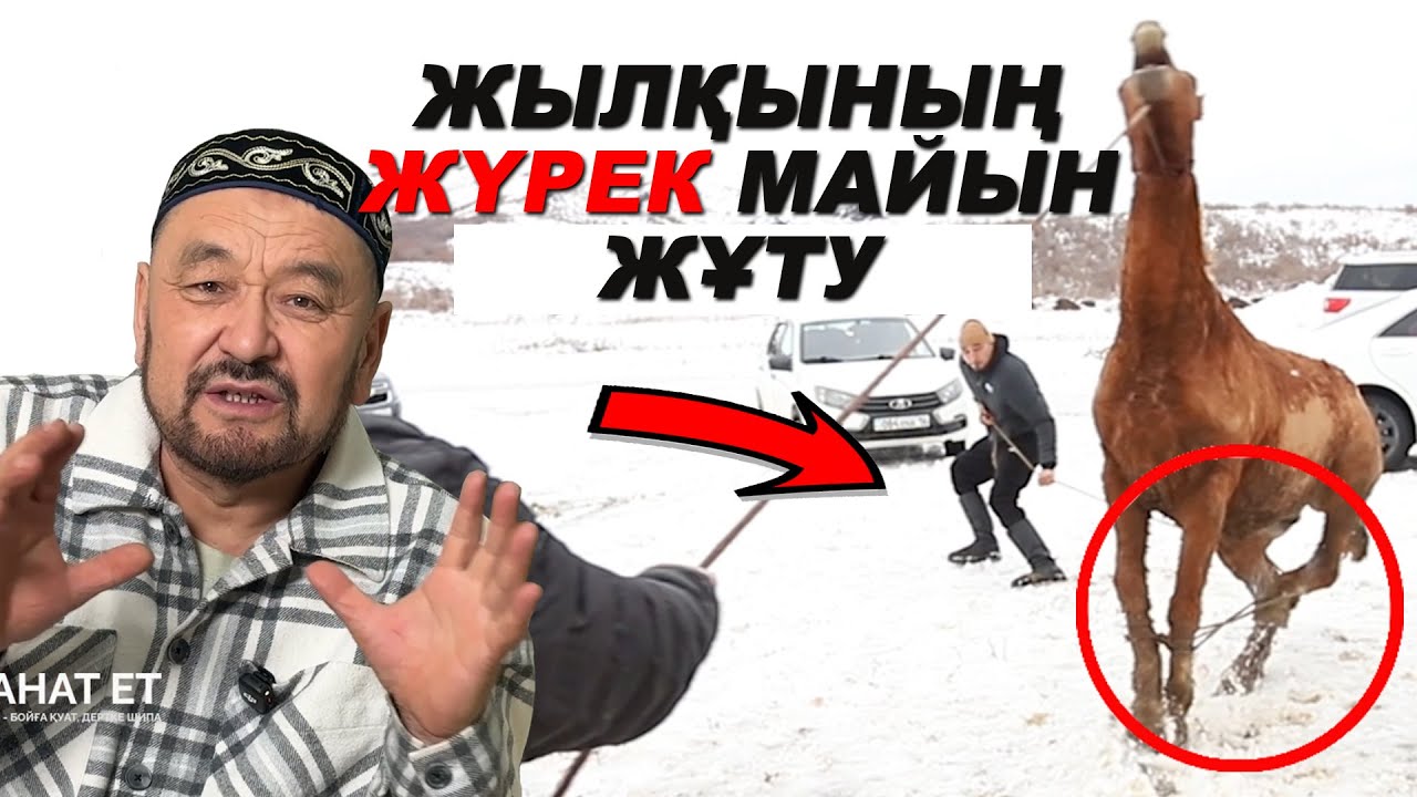 Қандай жылқының еті дәмді? | Саяхат Әсімхан | #соғым