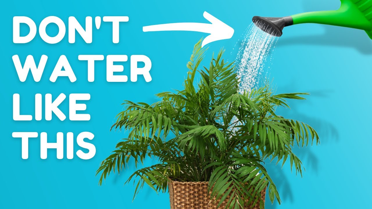10 Everyday Habits Keeping Your Plants Unhealthy