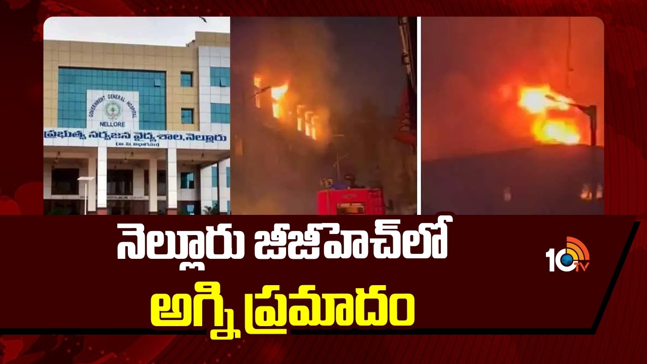 నెల్లూరు జీజీహెచ్ లో అగ్ని ప్రమాదం | Firemishap In Nellore GGH Hospital | 10TV News