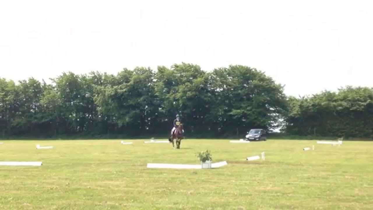 Henry July 2015