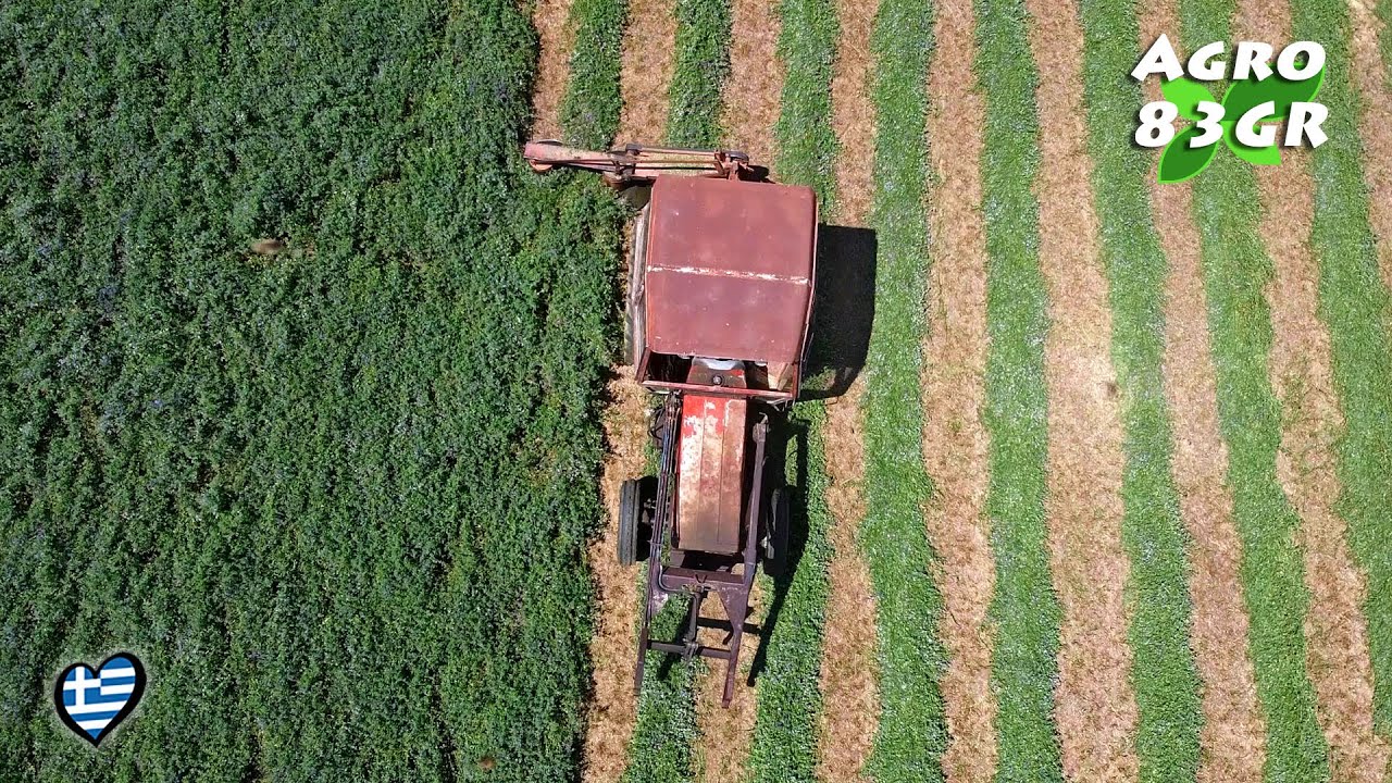 Κοπή Μηδικής (Τριφυλλιού) 🌿 Πεπονιά 2020 - ✨ Lucerne mowing Peponia 👌