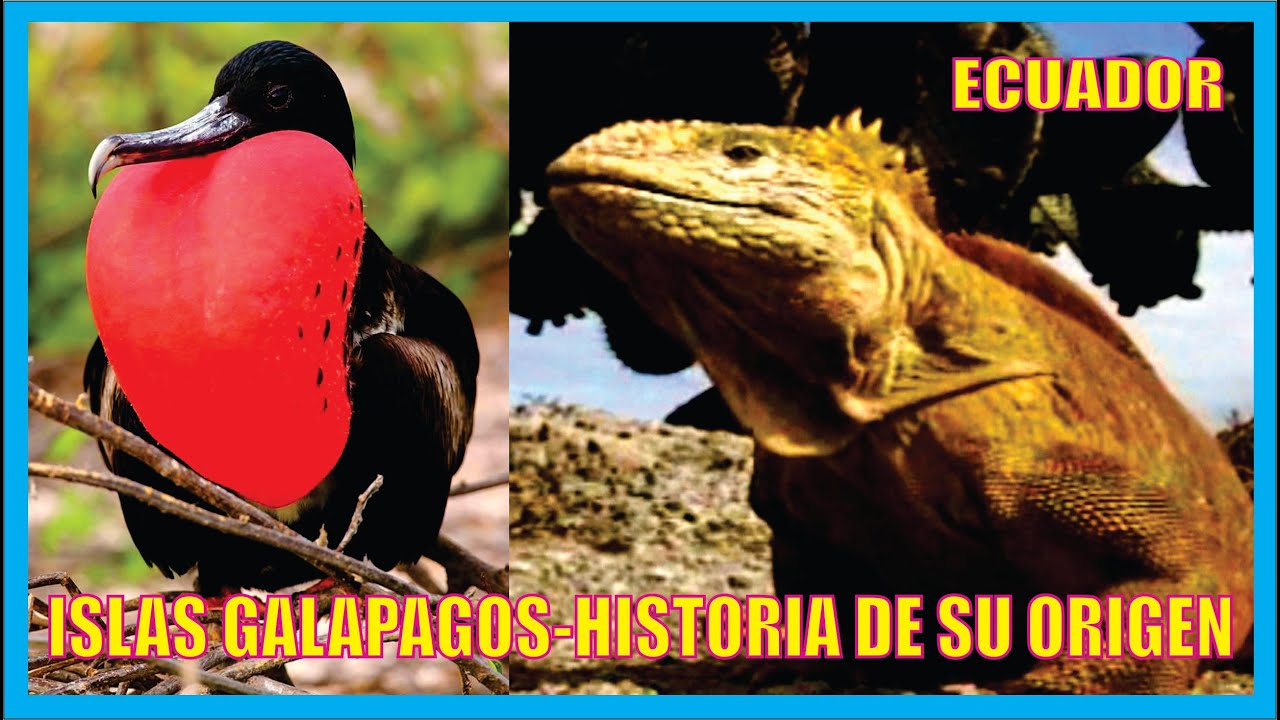Islas Galápagos-Historia de su Origen-Ecuador-Producciones Vicari.(Juan Franco Lazzarini)