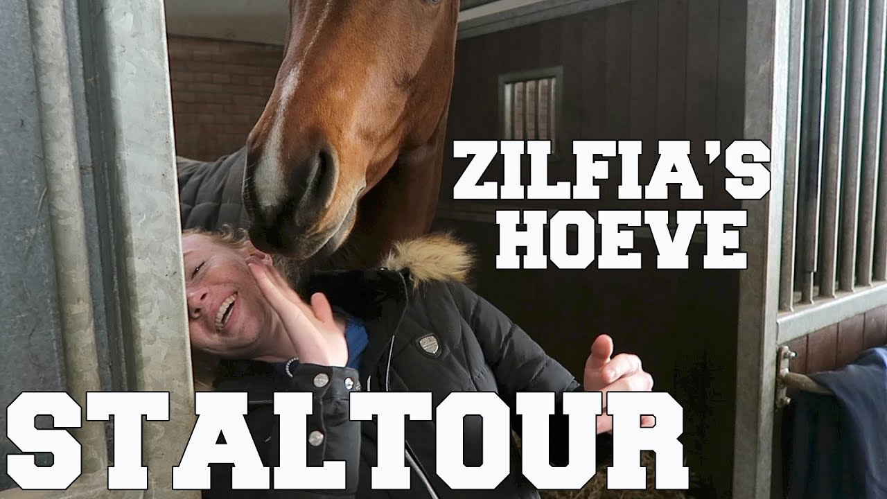STALTOUR ZILFIA'S HOEVE | MIJN WEG NAAR JUMPING AMSTERDAM