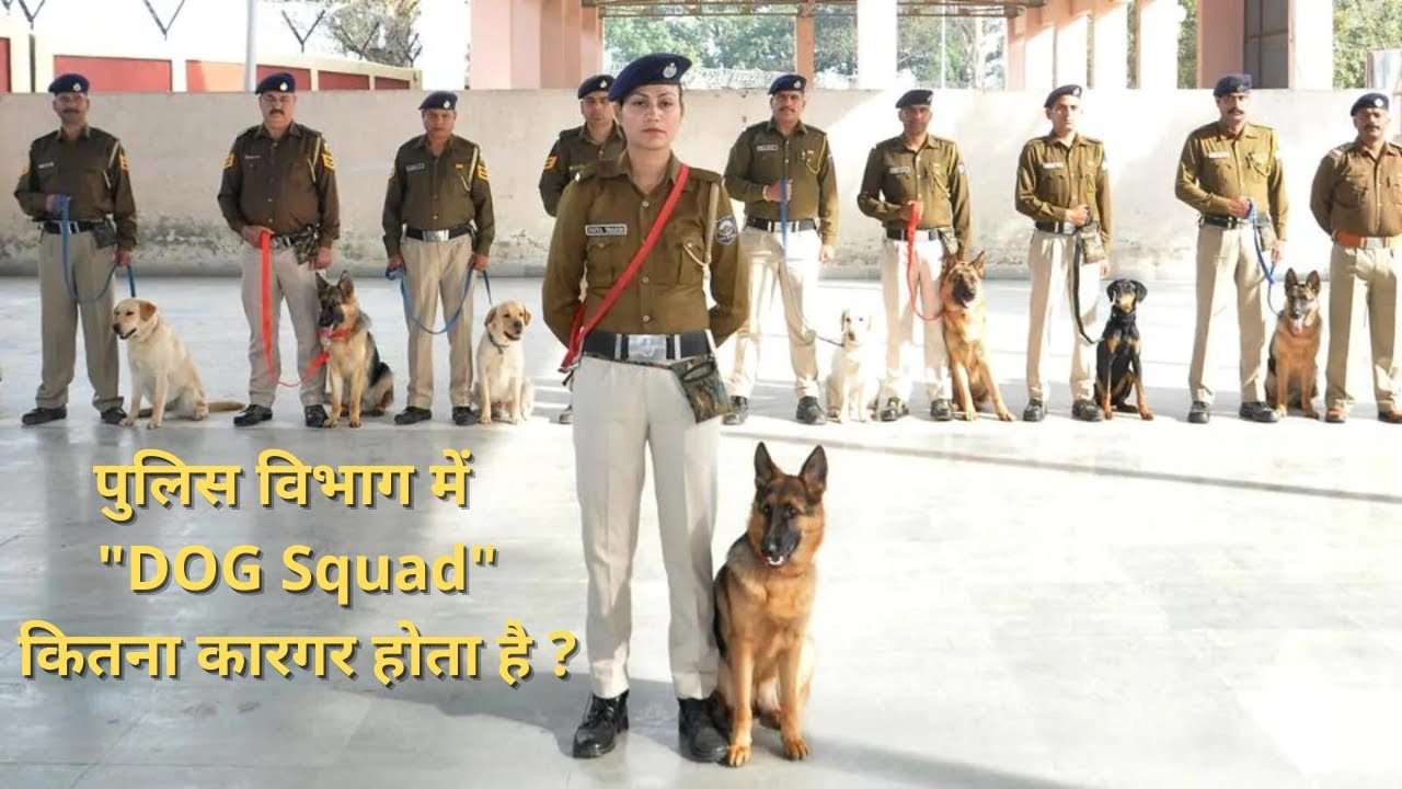 How far police tracking dog is effective ? | पुलिस का Dog Squad कितना कारगर होता है ?
