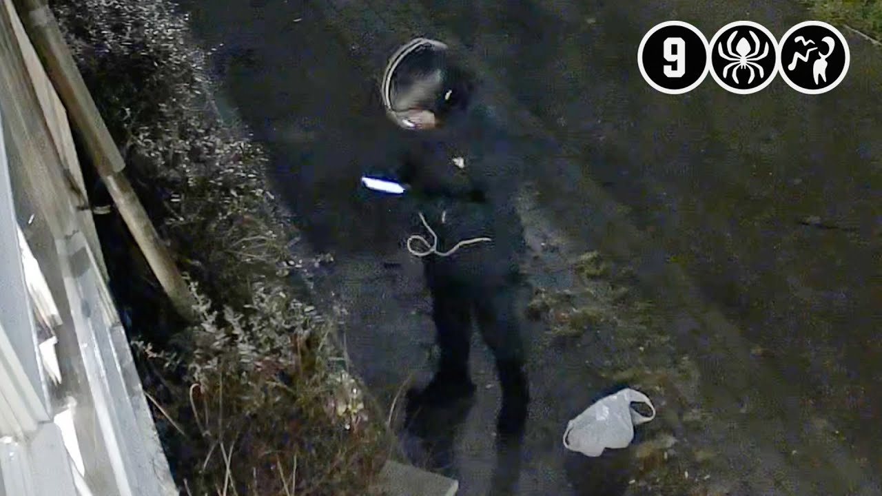 Man gefilmd die buurthuis in as legde | Haarlem