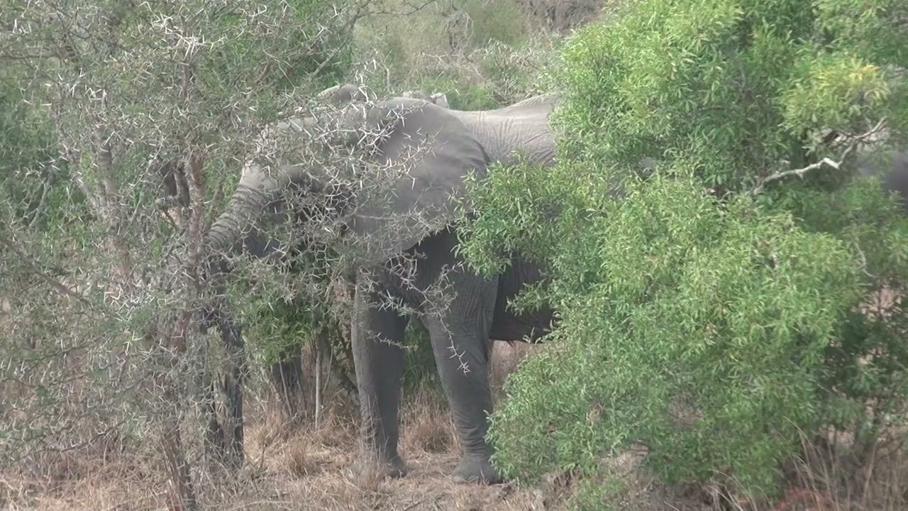 S&uuml;dafrika Gruppenreise 2019 07 14