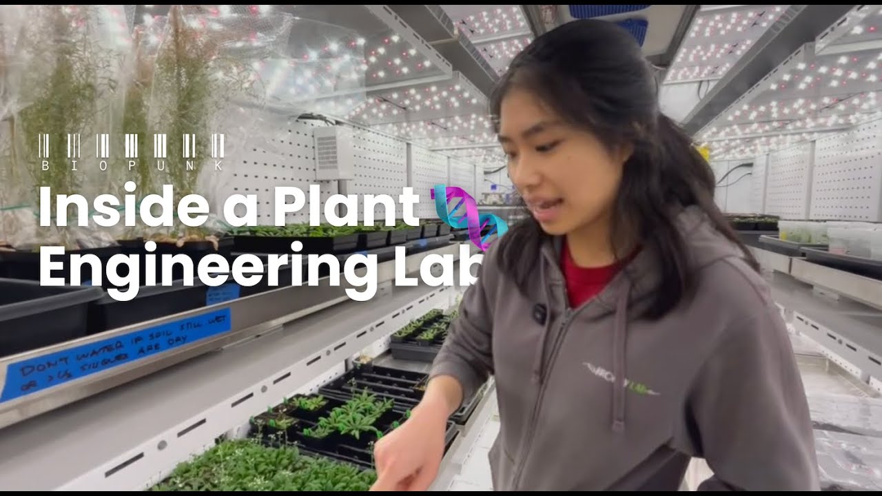 Inside a PLANT ENGINEERING lab in STANFORD
