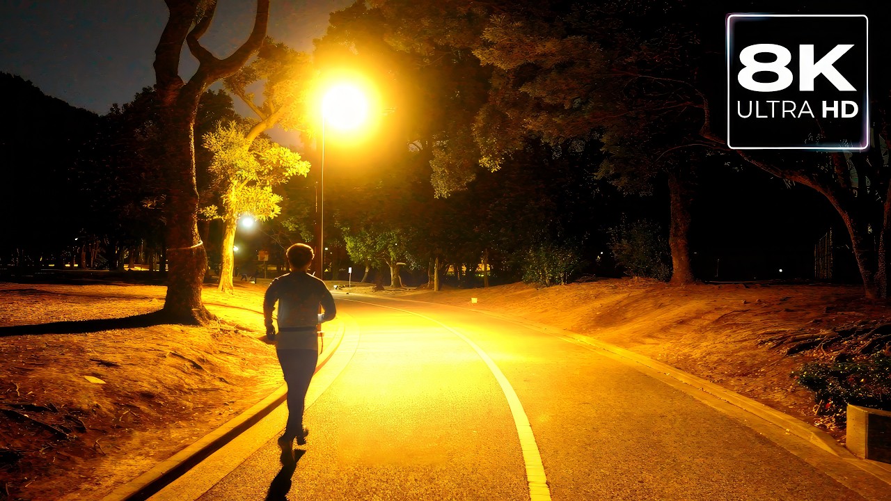 【8K JAPAN】Tokyo Yoyogi Park Running Course Night Walk / 8K 60fps HDR / No BGM / ASMR