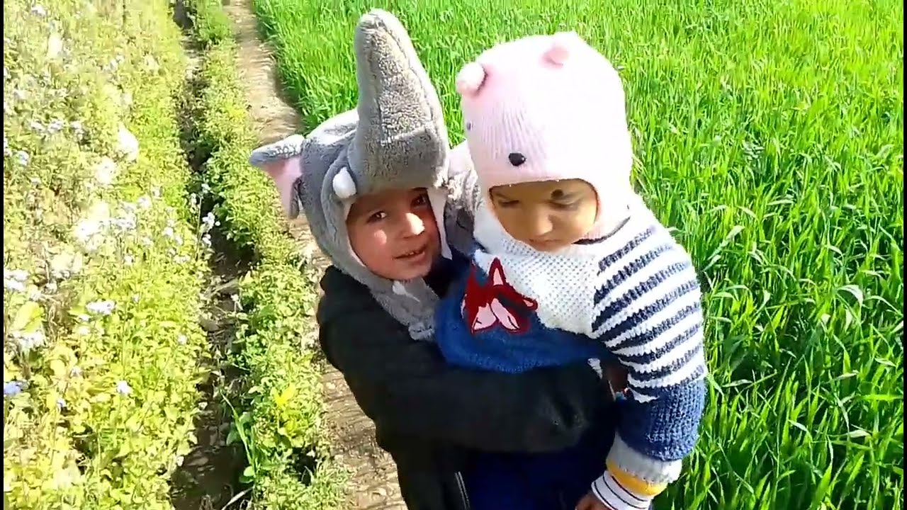 हमारे पहाड़ों की सुन्दरता।♥️ #pahadivideo #newvlog #jaya devbhumi familyvlog #cutebaby 