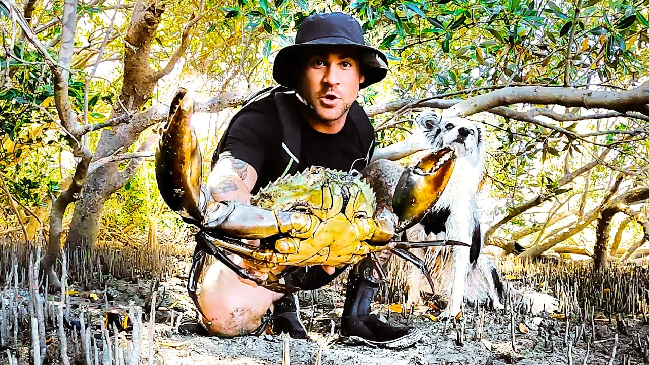 Catching GIANT MUD CRAB Barehanded For Food Living From The Ocean (Solo Remote Camping) - Ep 247