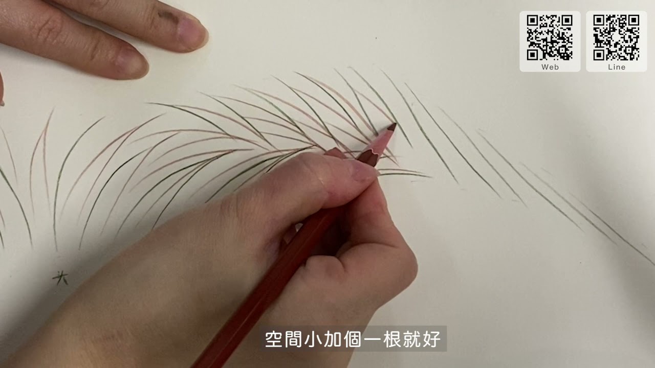 FineFace 紙上線條眉型講解分享 (半永久紋繡/眉型設計/霧眉/飄眉/水洗霧/不結痂/柔霧眉/眉尺定妝/色乳/色液/色粉) Eyebrow MicroBlading Material