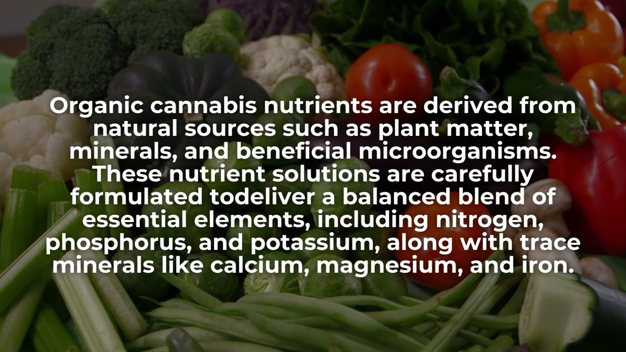 Superior Organic Cannabis Nutrients: Maximize Growth Naturally