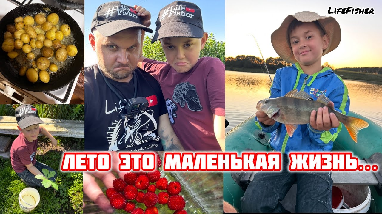 LifeFisher.Vlog : Деревенская жизнь. Сын обловил. Посадили дуб. «Ягоды и Окуни»