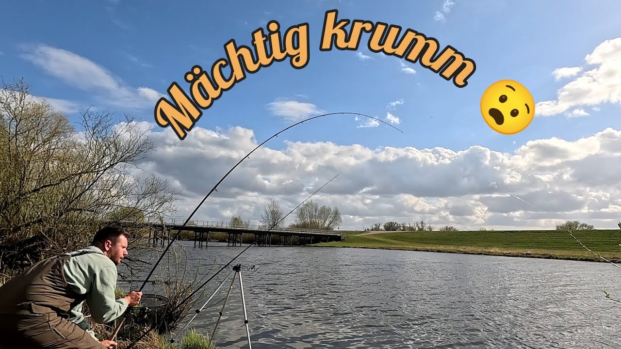 Feeder Angeln auf gro&szlig;e Fische am Fluss zwischen Wind und Abendfrost 🥶
