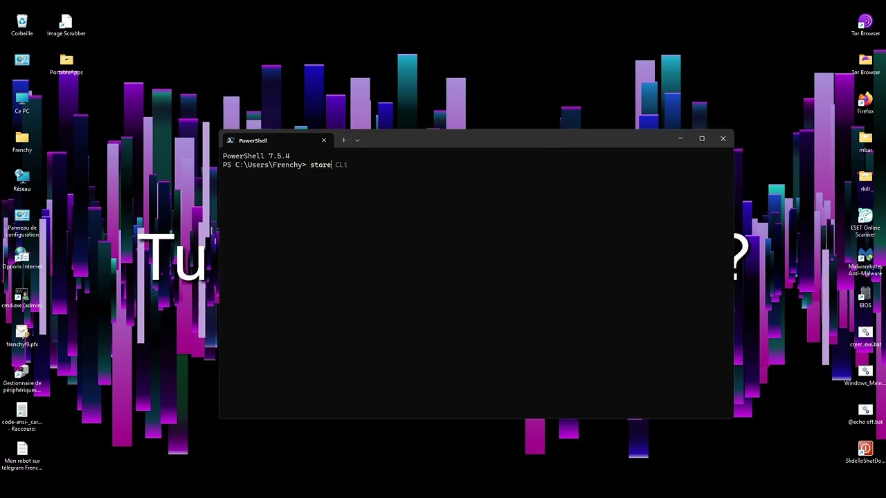 #Windows11#Store CLI 🕵️