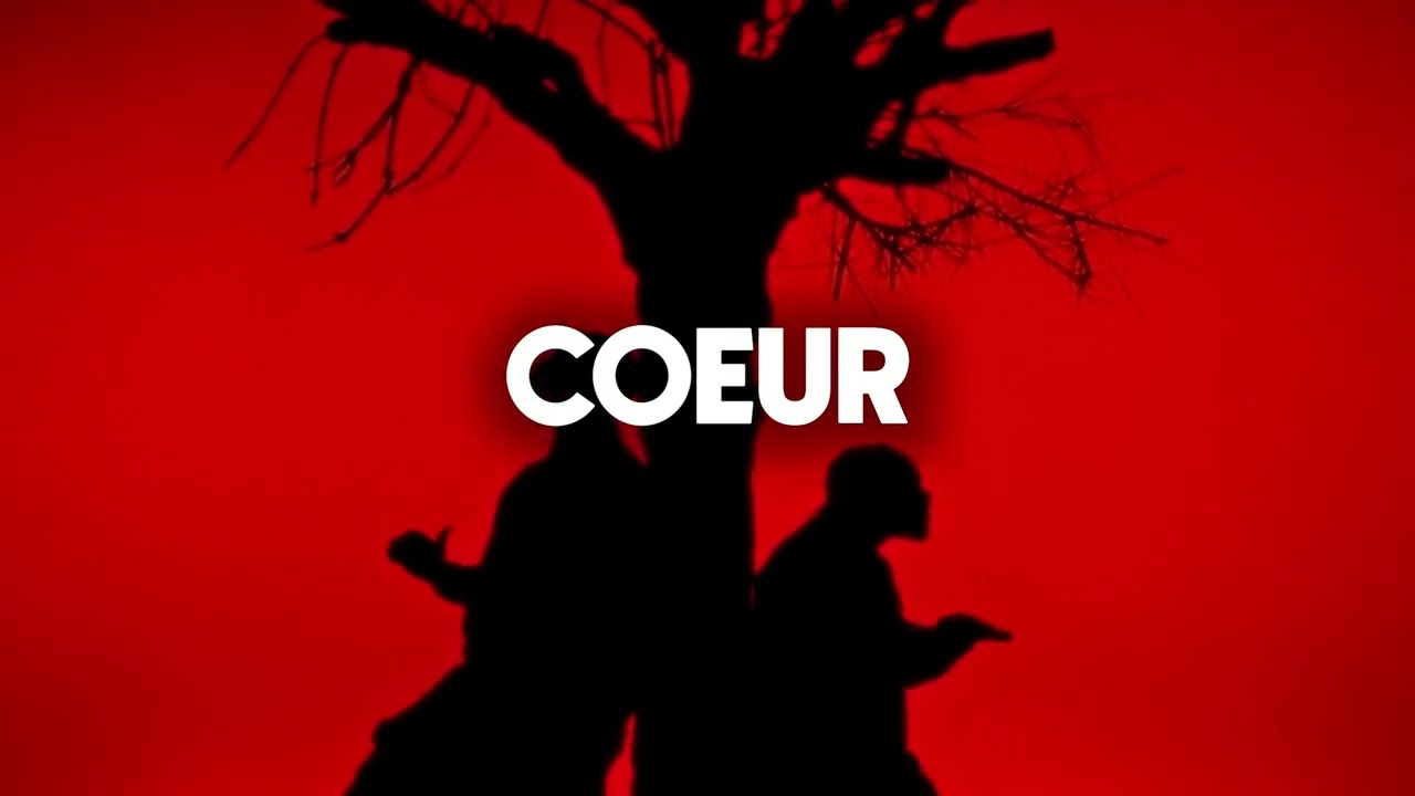 Tayc x Dadju Type Beat | Coeur | Afro Love Guitar Instrumental 2026