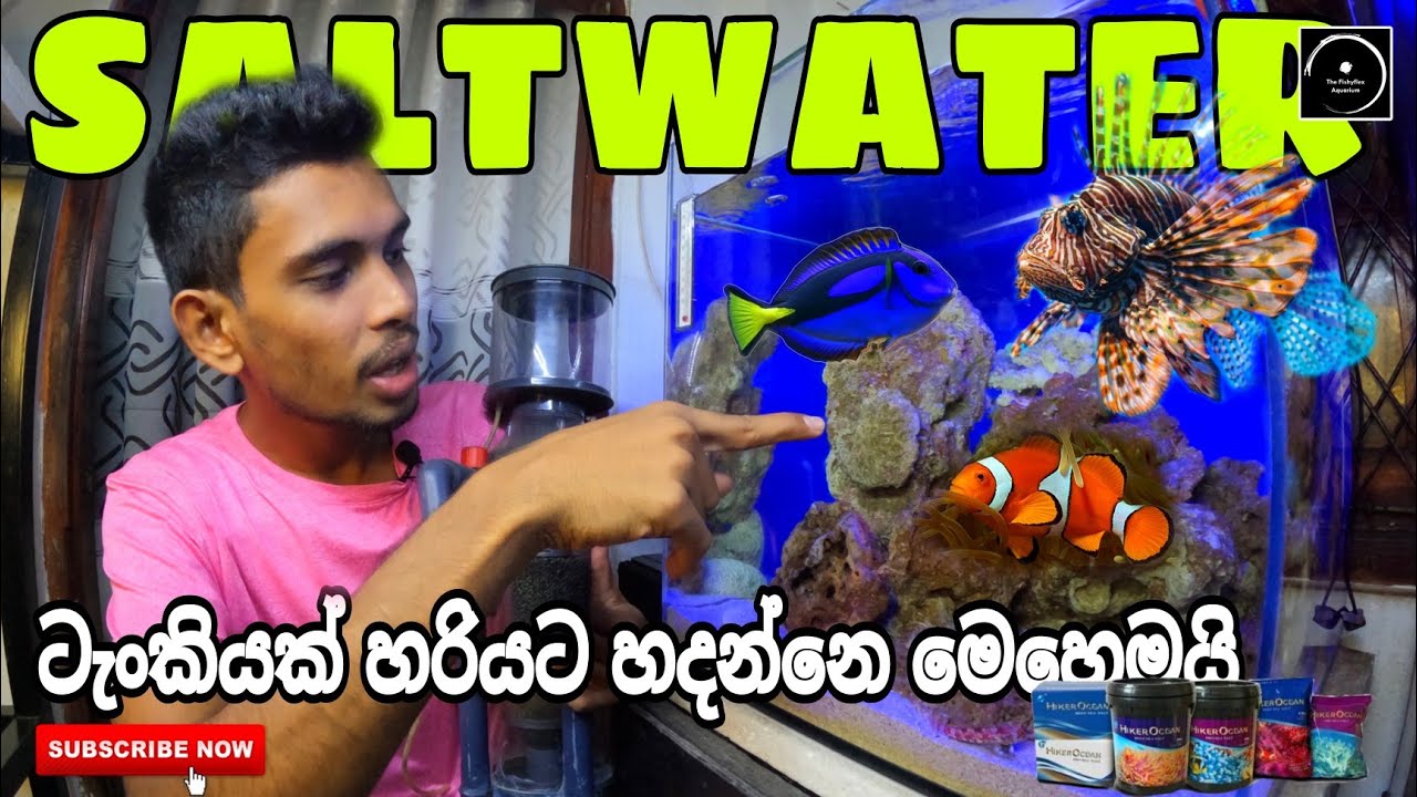 මුල සිට නිවැරදිව SALTWATER Tank එකක් හදමු | SALTWATER TANK Beginner Guid | The Fishyflex