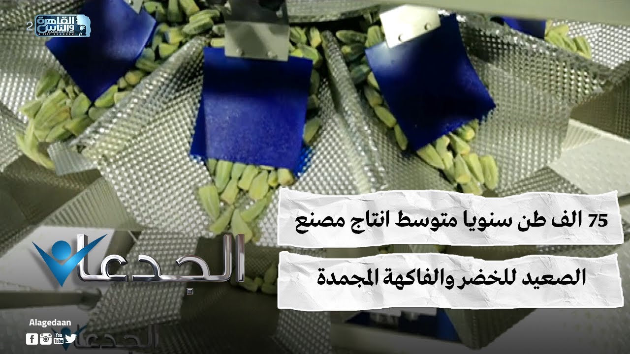 75 الف طن سنويا متوسط انتاج مصنع الصعيد للخضر والفاكهة المجمدة