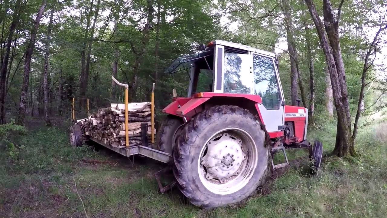 Massey Ferguson 690 au bois - Doubs  -