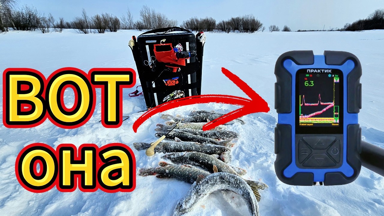 ЧТО ВИДНО В ЭХОЛОТ ПРАКТИК 8 ПРО? ЩУКА на блесну БЕЗ ПОВОДКА.