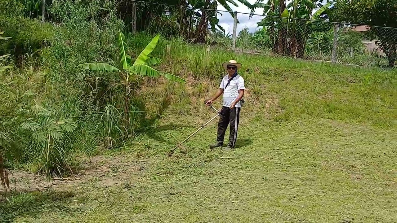 Hoje estamos cortando a grama