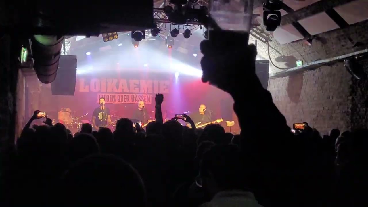 Loikaemie Live 