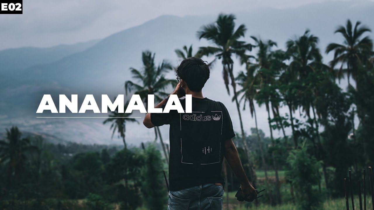 WE DID NOT SEE ANY TIGER IN ANAMALAI TIGER RESERVE! Kerala Web Series | Ep 2