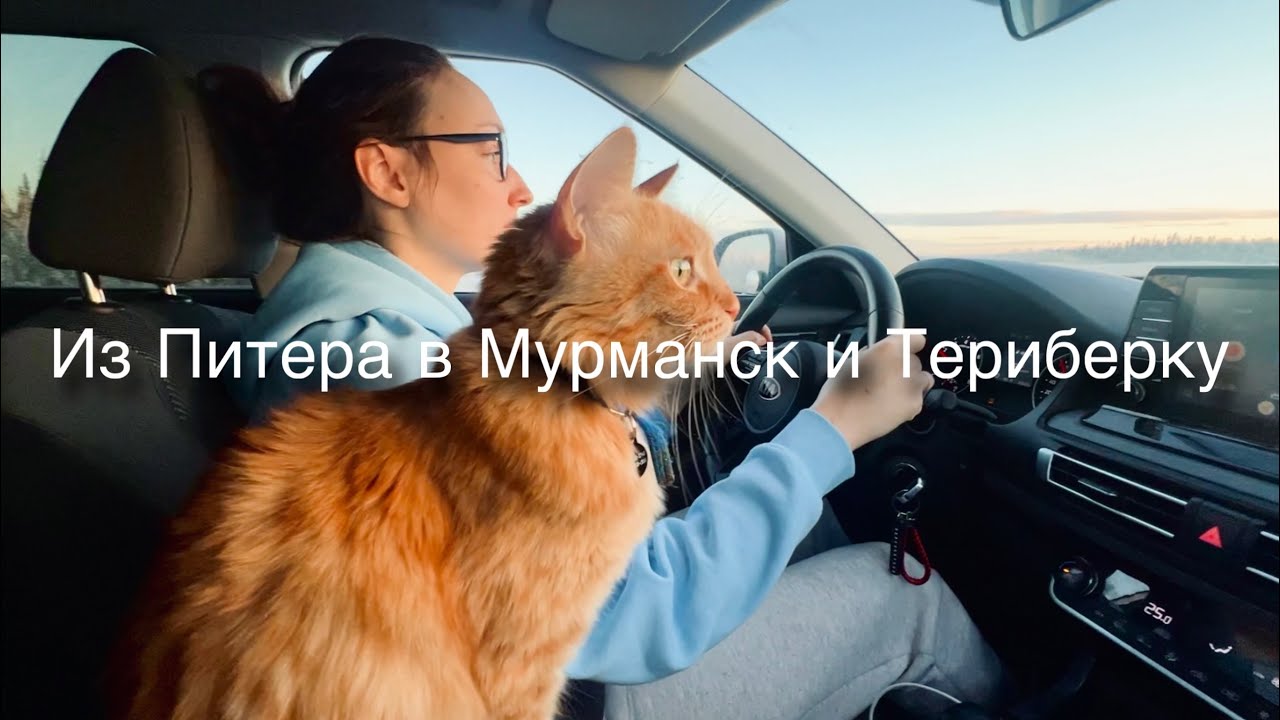 Из Питера в Мурманск и Териберку с прицепом и котом! Северное сияние, киты в Баренцевом море