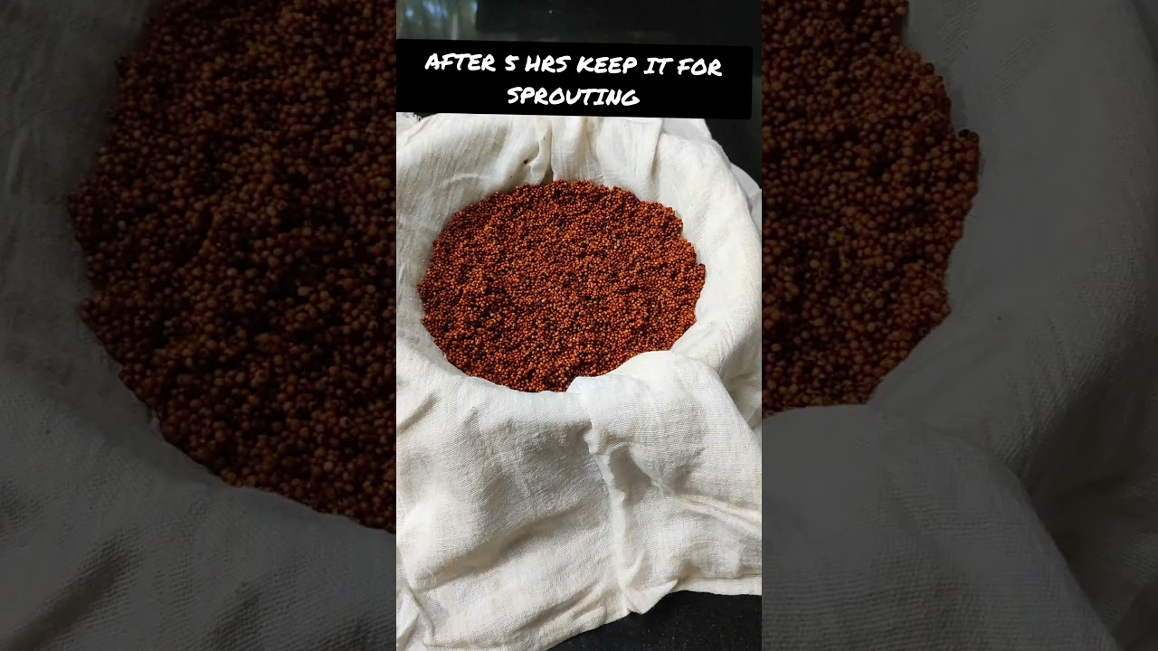 How To Sprout Ragi |No More Calcium Deficiency #shorts #youtubeshorts #ragi #calcium #tobecontinued