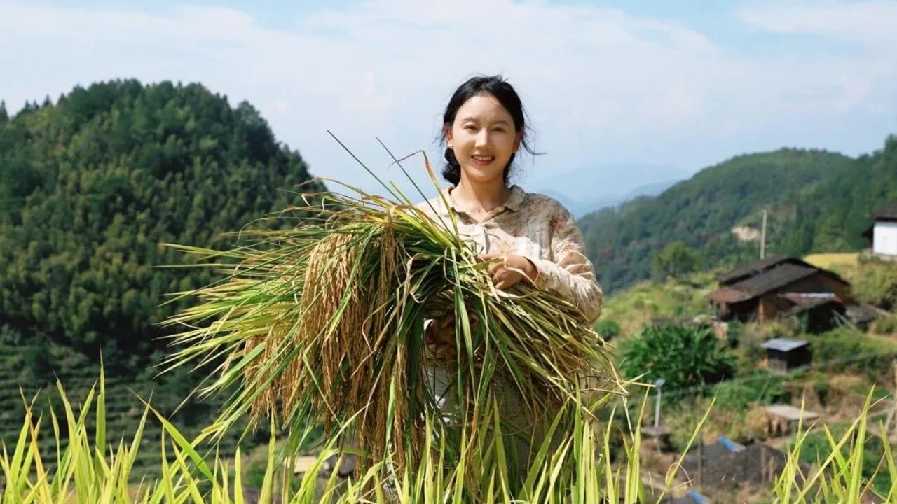 Rice 稻米 | 又是一年秋收，奶奶說：吃乾淨碗裡的飯，來年稻穀才會長高。【鄉愁沈丹ShenDan】