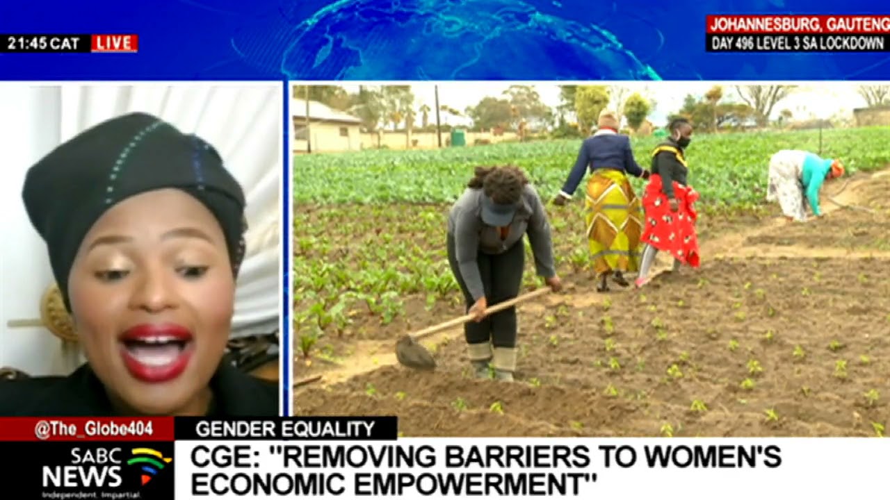 Webinar on challenges experienced by women-owned businesses: Dr. Nthabiseng Moleko