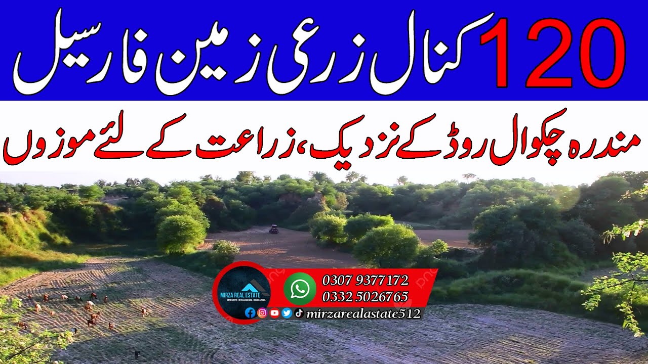 120 Kanal Agricultural Land For Sale in Chakwal Punjab  Zari Raqba for sale in Mandra Chakwal Road
