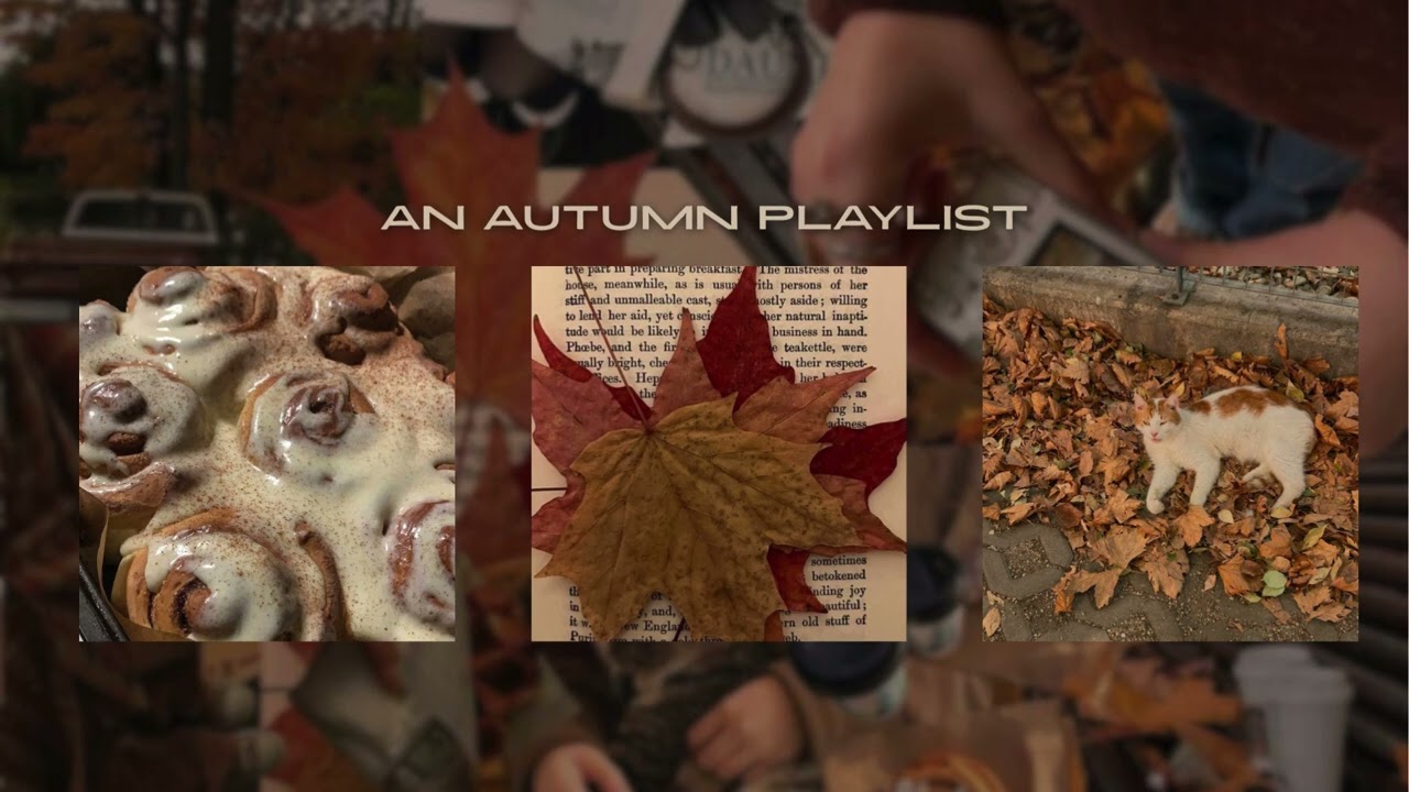 🎞🌙🍁The Night We Met | a cozy Autumn playlist 🧸
