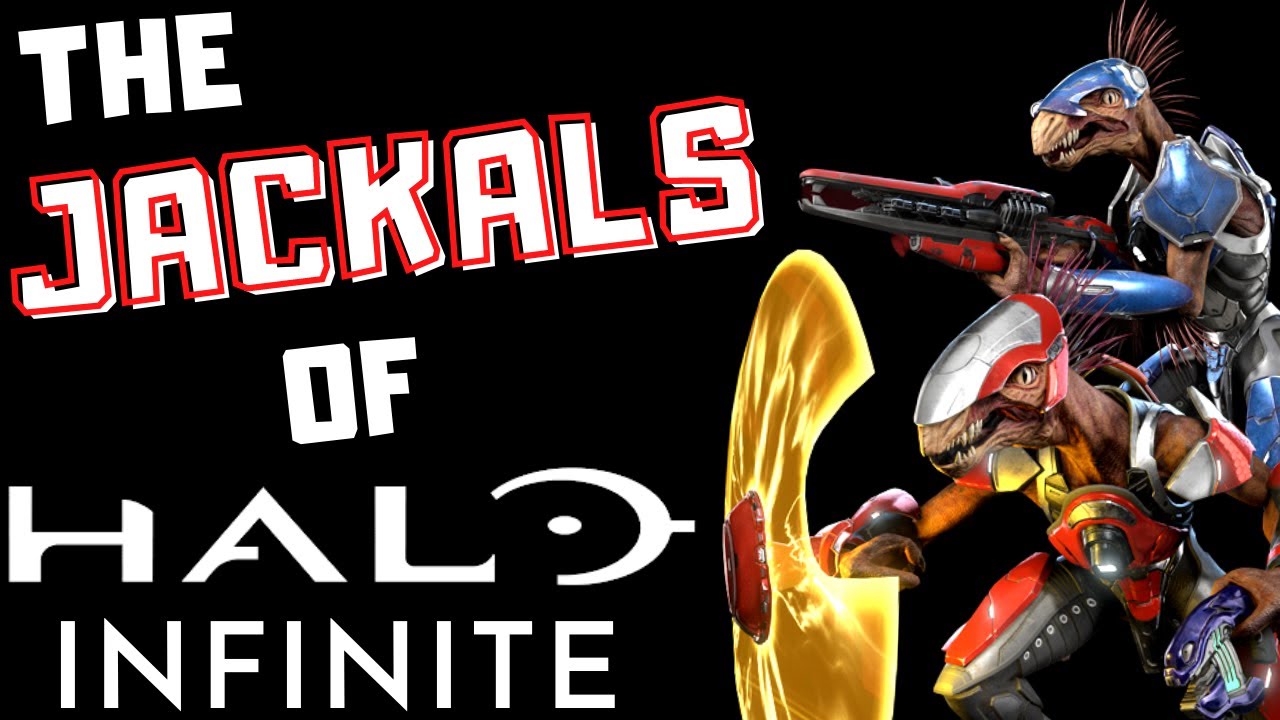 Halo Infinite Jackal Breakdown