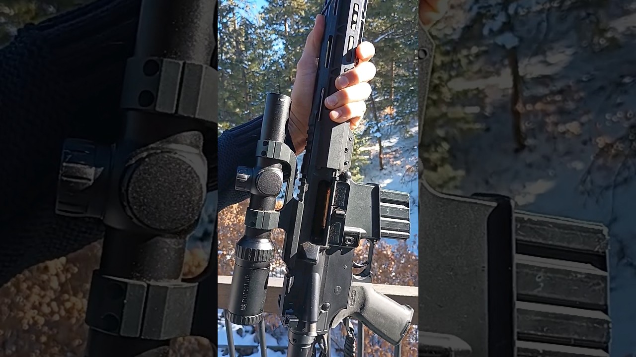 Bear Creek Arsenal .450 Bushmaster AR-15. BUDGET harvester! #shorts #gun #amazing