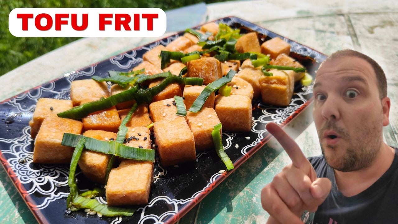RECETTE DE TOFU FRIT qui va vous réconcilier avec le tofu #tofu  #recettevegan  #cuisinejaponaise
