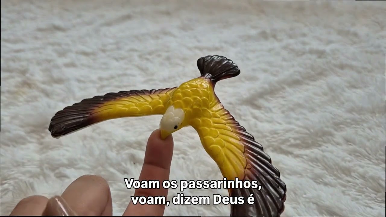 Deus criou as aves - lição 9 | Iniciantes- Ano A - 1° trimestre 