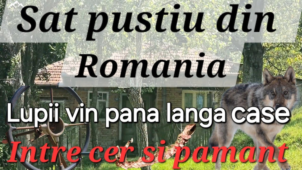 Заброшенная деревня в Румынии/Волки рыщут возле домов.