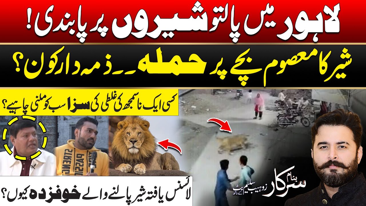 One Mistake, Everyone Punished? Debate Over Lion Ban | Banam Sarkar | 31 January 2026 | City 42