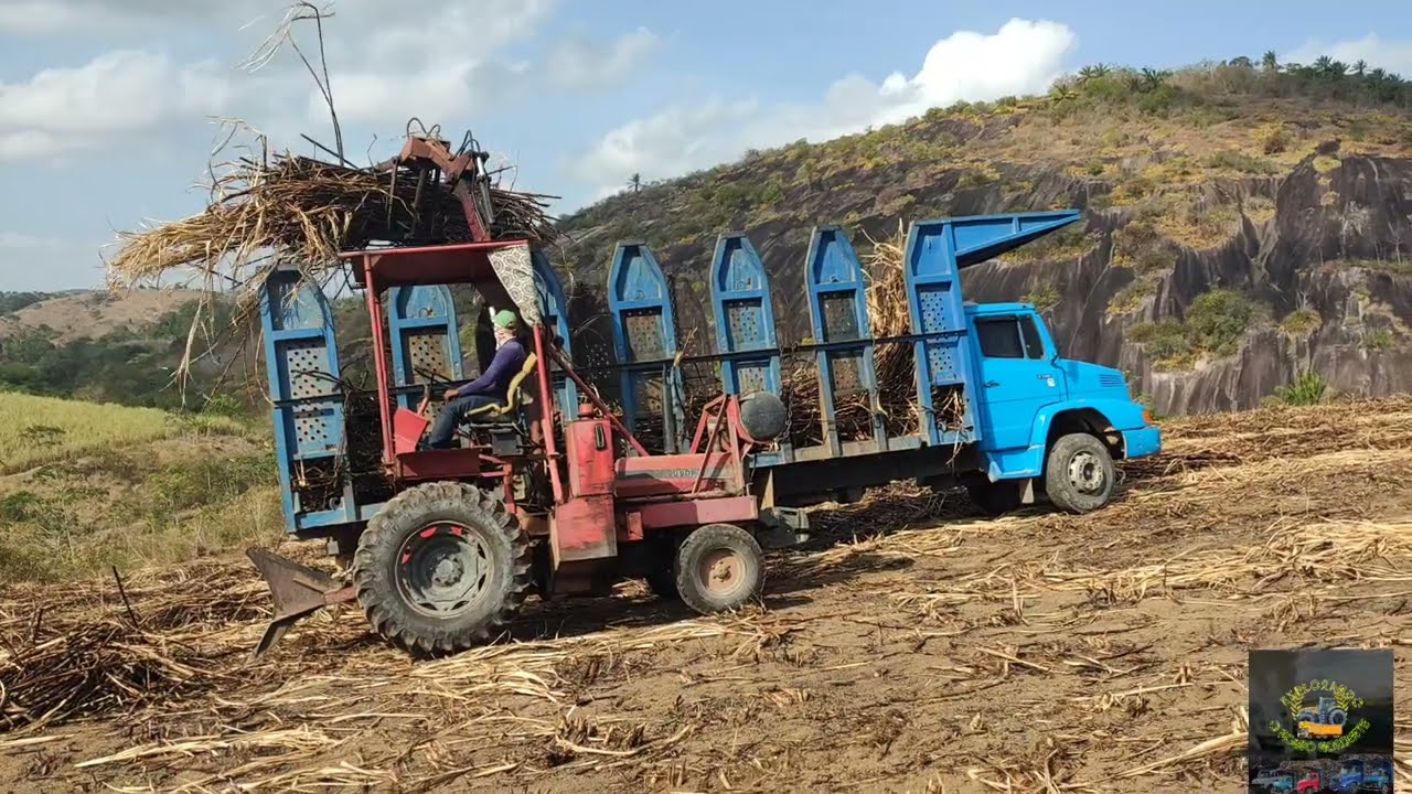 MAIS UMA CARREGADEIRA RELÍQUIA CARREGANDO A DEBOCHADA 2318
