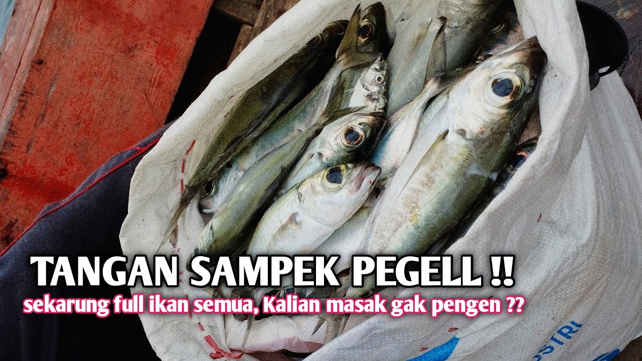 TANGAN SAMPAI PEGEL ‼️ MANCING JIGGING SEMALAM FULL STRIKE